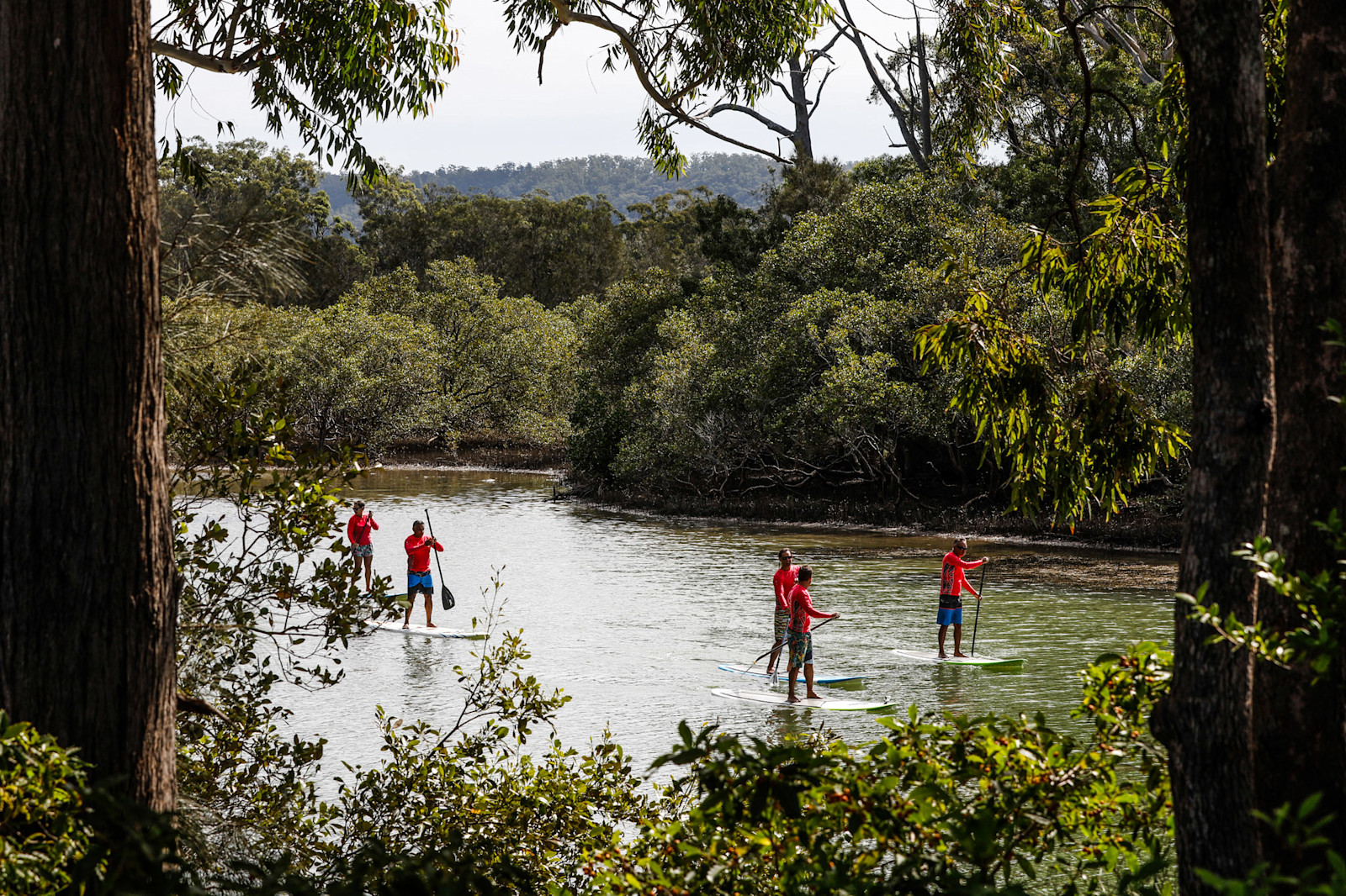 Group enjoying a stand-up paddleboarding tour with Wajaana Yaam Gumbaynggirr Adventure Tours, NSW © Destination NSW
