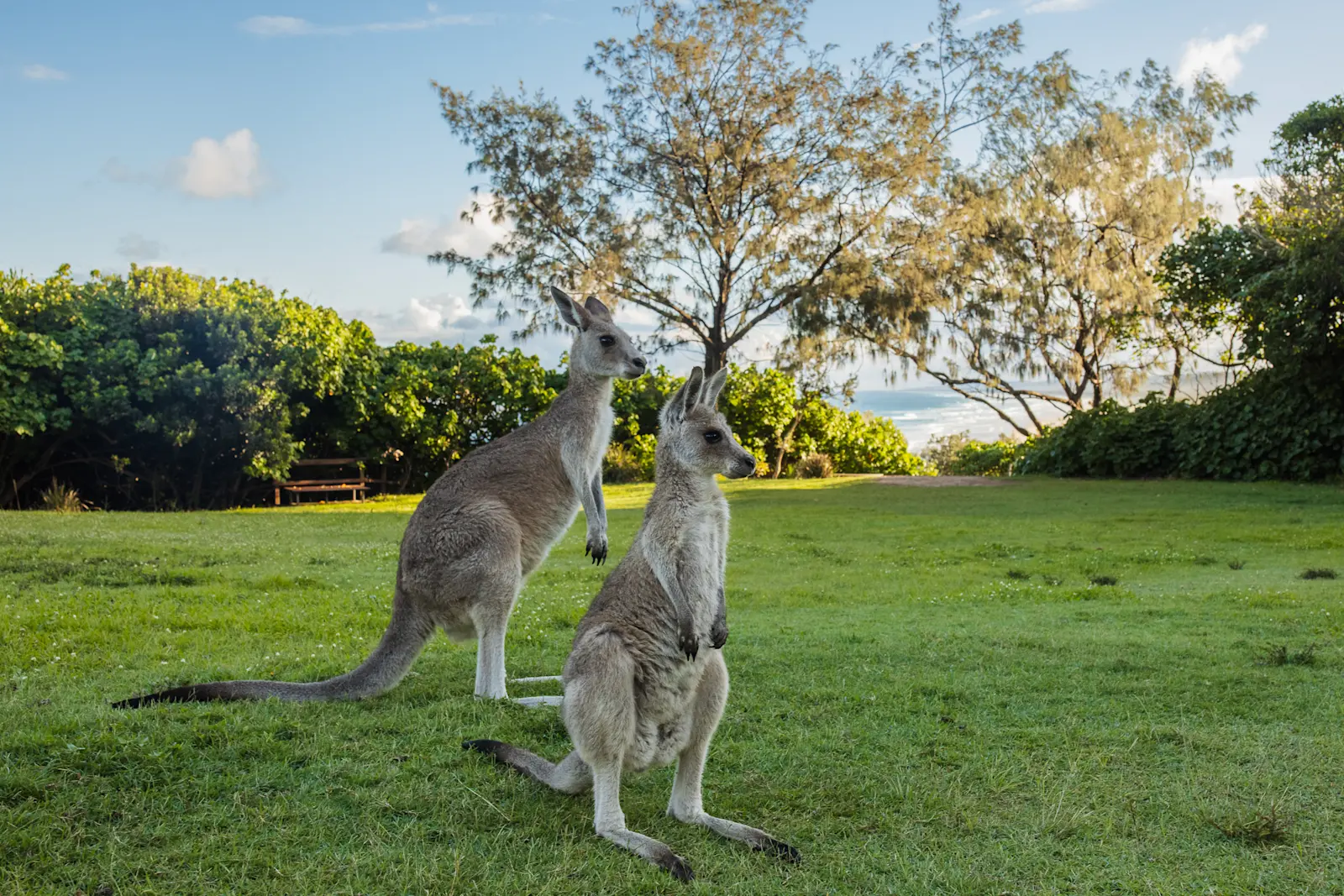 Yura Tours, Minjerribah/North Stradbroke Island, Queensland