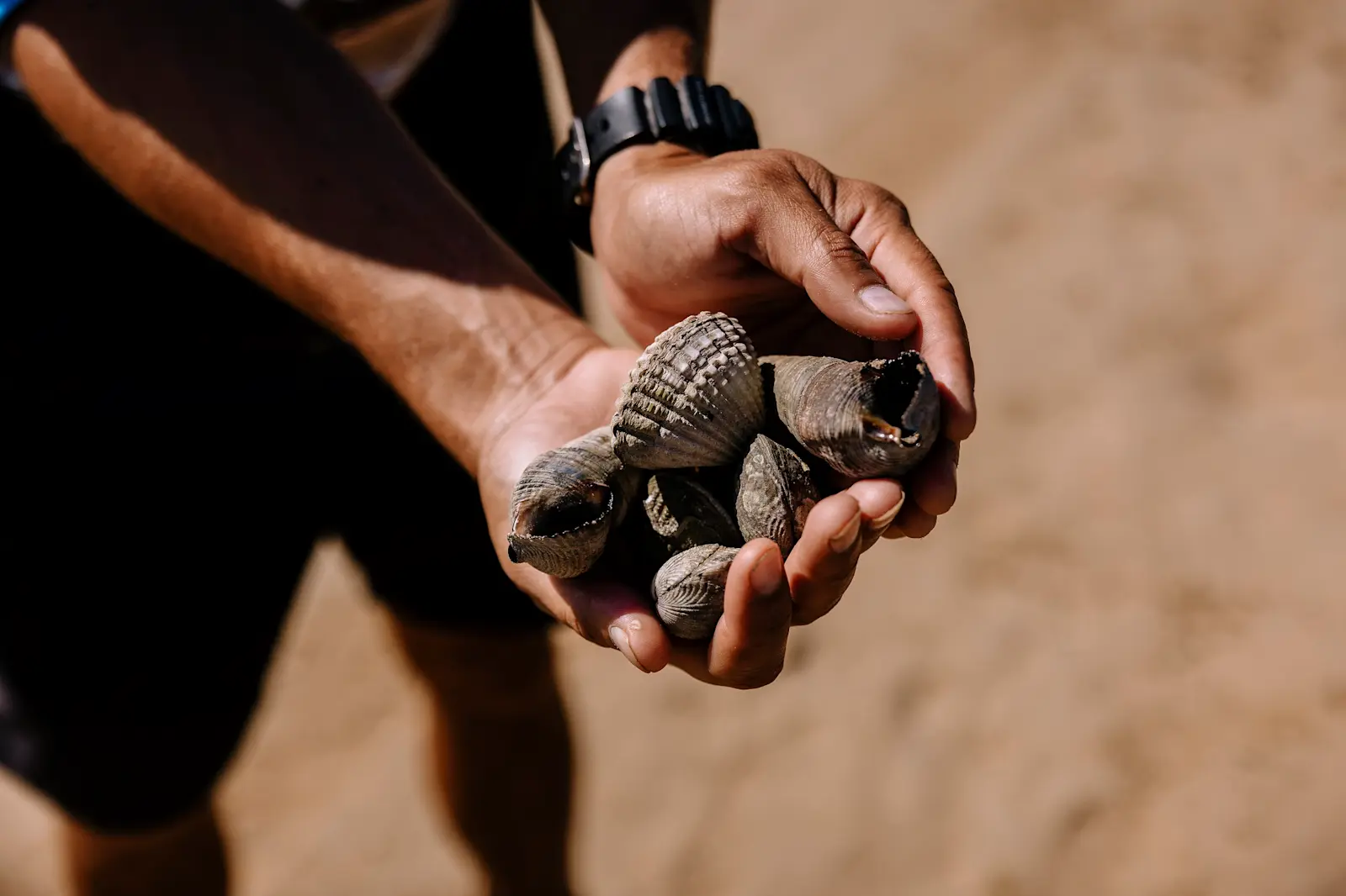 Narlijia Experiences, Broome  © Tourism Australia