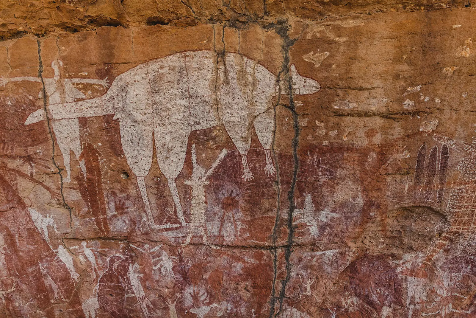 rock-art-jarramali-rock-art-tours-north-queensland-660560-56