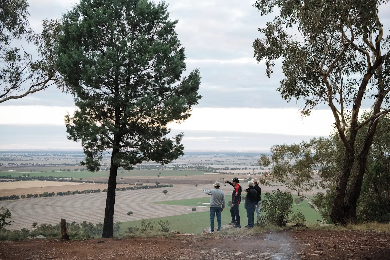 Looking out over the landscape. 