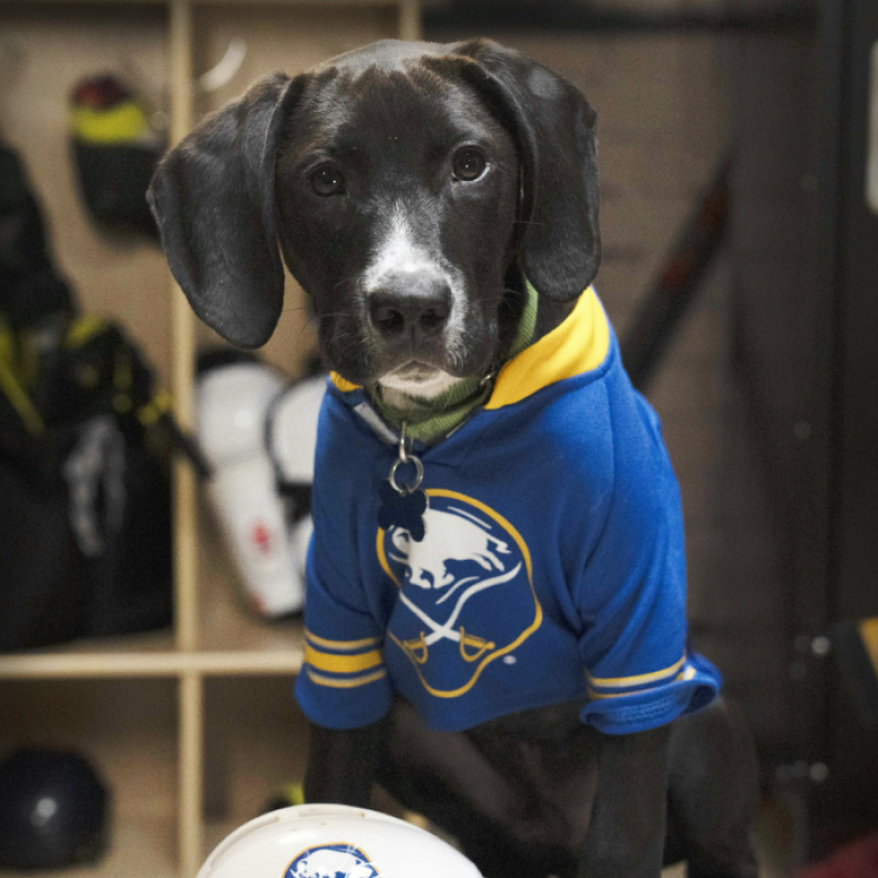 Image of Wyatt aka Rasmus Dahleash