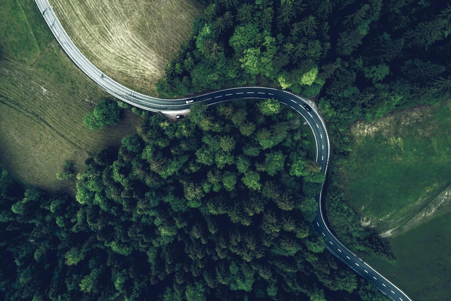 Aerial view of the highway and the forest